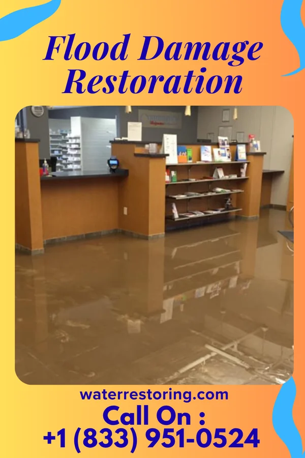 Flood Damage Restoration in Dale City, VA