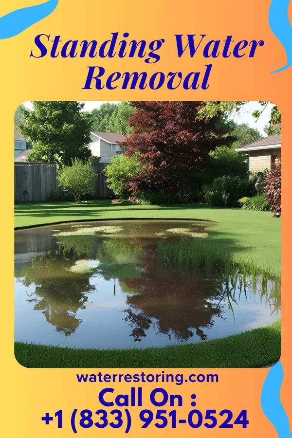 Standing Water Removal in Dale City, VA